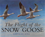 Snow Goose